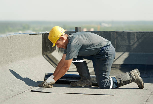 Best Wall Insulation Installation  in Dunbar, SC